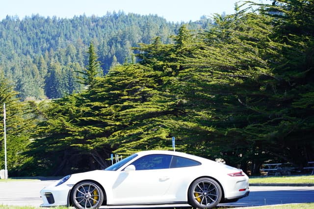 2019 Porsche 911 GT3 Touring in Exterior in Custom Color Non-Metallic