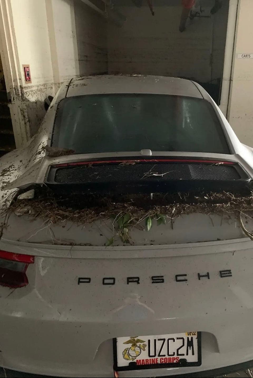 2019 Porsche 911 GT3 Touring in Chalk